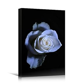 signwin Canvas Wall Art White Petal Close Up...