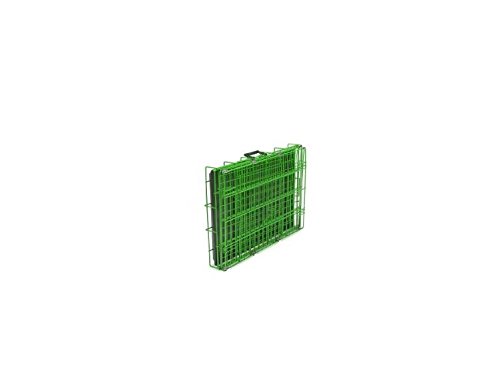 ProSelect Crate Appeal Fashion Color Dog Crates for Dogs and Pets