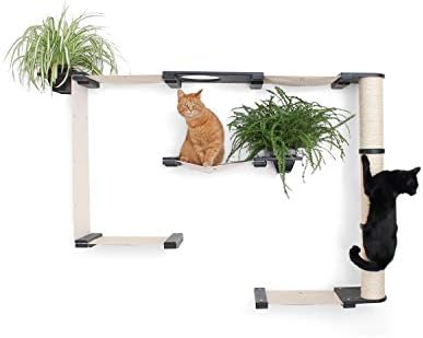 Catastrophicreations Mini Garden Multiple Level Cat Hammock Climbing Activity Center Wall Mounted Cat Tree Shelves Onyx Charcoal Buy Online At Best Price In Uae Amazon Ae