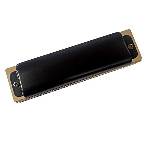 image for East Top 10 Hole 20 Tone Blues Professional Harmonica Key Of Paddy D M