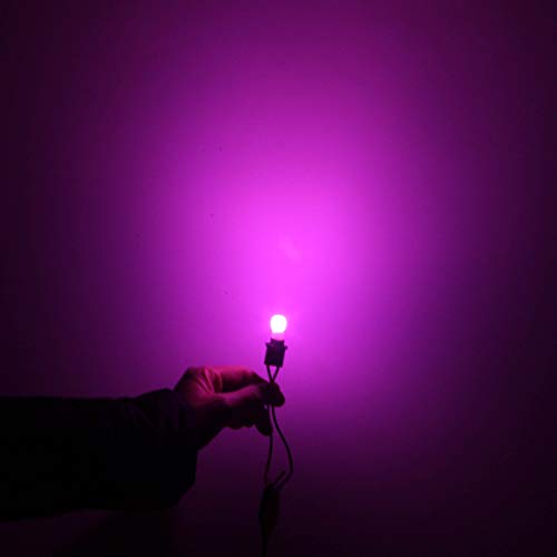 DODOFUN T10 Ceramics Interior Exterior Bright LED Light 168 175 194 2825 W5W Size Bulb Pink Color (Pack of 10)