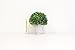 Silk Road Home Artificial Boxwood Topiary Ball Table Top Plant with Decorative Pot 8 inches Tall Realistic Indoor Faux Decor (8 Inches)
