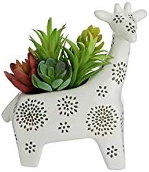 sophie the giraffe sainsburys