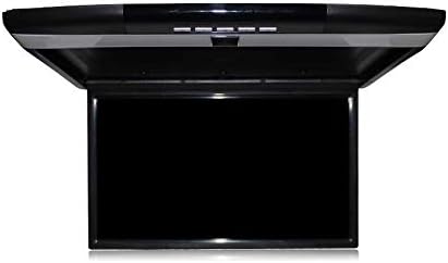 flip down tv per auto 20 pollici