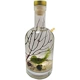 Enclosed Ecosystem Shrimps Bottle
