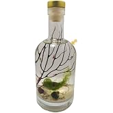 Self Sustaining Semi Enclosed Ecosystem Shrimp Bottle