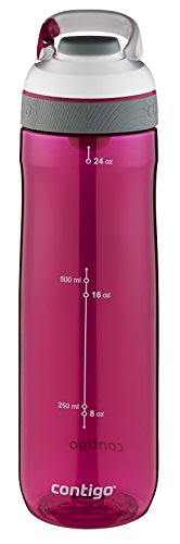 Contigo Cortland 24-oz Water Bottle
