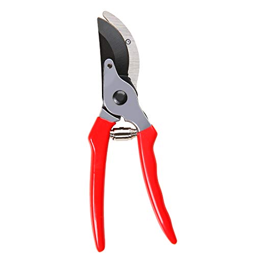 Terme 8" Small Professional Pruning Shears for Garden, Heavy Duty Tree Trimmers Sharp Bypass Hand Pruners with Stainless Steel Blades and Ergonomic Handle Fruit Trimming Tool - Thumbnail 6