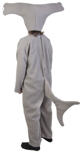 Child Hammerhead Shark - Image 2