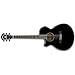 Ibanez AEG10II Left-Handed - Black