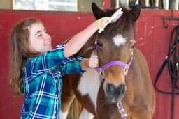 image for EazyHold Green Silicone Childrens Adaptive Aid for Eating Utensils, Wr