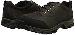 Timberland Men's Mt. Maddsen Waterproof Low Hiker