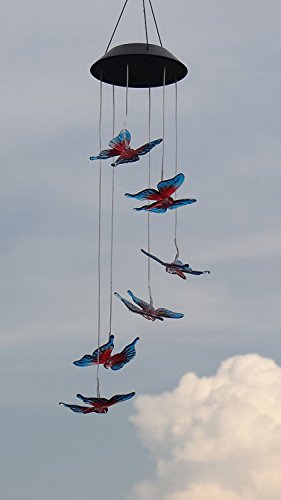 Great addition to the garden