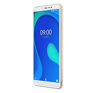 Wiko Y80 Italia Smartphone, Android 9 Pie, Display 5.99 inch, Memoria RAM 2GB, Memoria ROM 16 GB, Gold - immagine 5