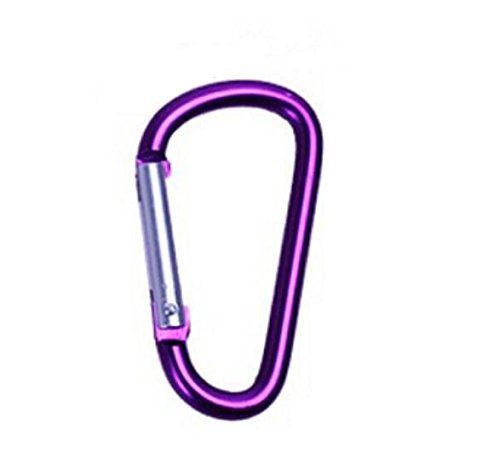 Liroyal Purple Carabiner Keychain (10 pack)