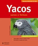Yacos/ African Grey Parrots: Sanos y felices/ Healthy and Happy (Mascotas en casa/ Pets at Home) (Sp by