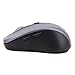 Bluetooth Wireless Mouse with Adjustable DPI Ergonomic Portable Optical Mouse for PC Mac and ChromeBook