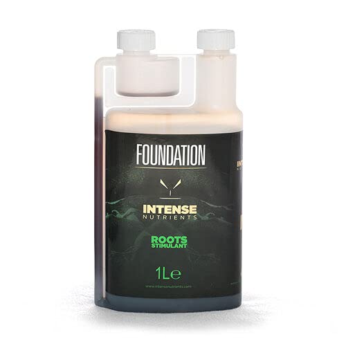 Intense Nutrients Foundation Roots 1L