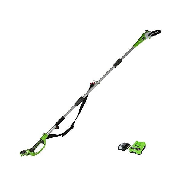 Greenworks G24PS20K2 Akku Hochentaster,20 cm BlattlÃ¤nge, 6,7 m/s Kettengeschwindigkeit, 3,2 kg, automatisches Ãl-System, 50 ml Ãltank, 2,6m Stangenreichweite,24V 2Ah Akku & LadegerÃ¤t, 3 Jahre Garantie