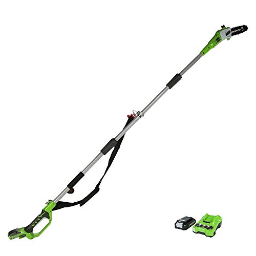 Greenworks G24PS20K2 Akku Hochentaster,20 cm Blattlänge, 6,7 m/s Kettengeschwindigkeit, 3,2 kg, automatisches Ãl-System, 50 ml Ãltank, 2,6m Stangenreichweite,24V 2Ah Akku & Ladegerät, 3 Jahre Garantie