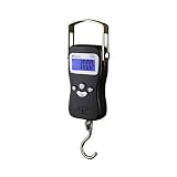 American Weigh Scale American Weigh H-110 Digital Hanging Scale, 110 X 0.05-Pounds
