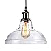 LEONLITE 1-Light Industrial Clear Glass Pendant Light Fixture, UL Listed, E26 Base, Edison Vintage Style Lampshade, Adjustable Height, for Kitchen, Dining Room, Restaurant, Cafe