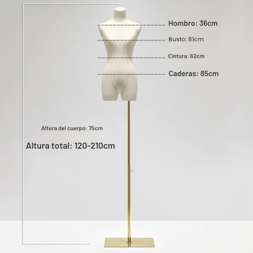 QJSZMEI Ladies Bust Mannequin, Adjustable Height Mannequin Sewing Woman with Metal Base Rectangle, Female Torso Mannequin for Showcase Display (Color : White, Size : A)