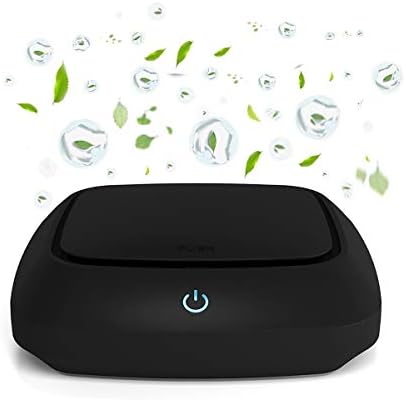Does Air Purifier Remove Dog Smell