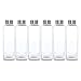 Boroux Basics Reusable Glass Water Bottles BPA/BPS Chemical Free, Premium Soda Lime Glass 18 oz, 6 Pack of Reusable Drinking Bottles, Leak Proof Stainless Steel Cap. Great for Water, Juice, Kombucha