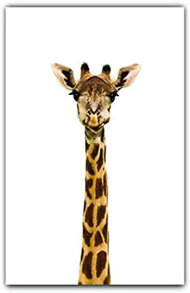 safari baby animals nursery decor