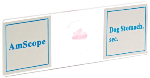 2 AmScope+PS100B+Microscope+Biological+Education