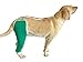 Hip and Thigh Wound Protective Sleeve for Dogs. Dog Recovery Sleeve. Recommended by Vets Worldwide (X-Large, Teal Green)