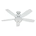 Hunter Indoor Ceiling Fan with light and pull chain control - Banyan 52 inch, White, 53177