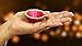 SATVIK Set of 12 with Assorted Shubh Labh Stickers l Handcrafted Clay Diyas for Diwali Celebration | Traditional Terracotta Oil Lamps