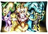 Pokemon All Eevee Evolutions Personality Custom Home Decorative Pillow Cover Zippered Pillowcase (20x30 inch) Haitaowong Design