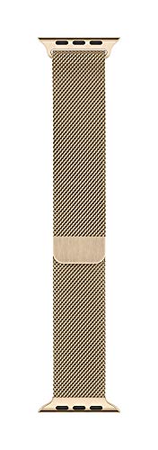 milanese loop gold 40mm