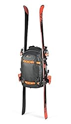 Lowepro BP 450 AW II