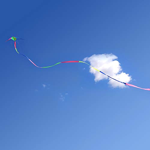 Kite Tail,Flat Ribbon Streamer Rainbow Multi Color (Multi Color), 49 Feet
