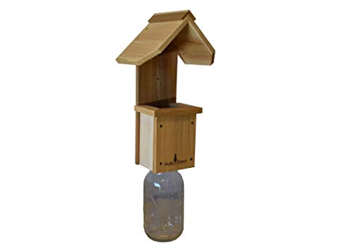 Amazon Com Garden Artworks Squirrel Jar Feeder Vertical Jar Keeps