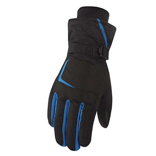 Aisprts Ski Gloves Men and Women Winter Touch Screen Gloves Windproof Waterproof Outdoor Snow Snowboard Warm Gloves (Blue, L)
