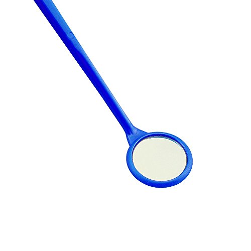 Finlon 100 Pcs Dental Disposable Mouth Mirror Plastic Mouth Mirrors Dental Mouth Inspection Mirror Hygiene Instrument Kit For Oral Teeth Exam Probe