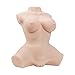 Y-NOT Male Masturbation Sex Toy, Sex Doll Torso for Men with Lifelike Design and Heating Rod, for Realistic Vagina, Breast, Anal Sex