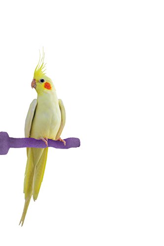 Sweet Feet and Beak Thermal-Lite Natural Patented Perch, X-Small - Purple- Perfect for Keeping your Bird's Feet and Beaks Healthy - Thumbnail 2
