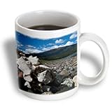Krista Funk Creations Tagish Lake Yukon Territory - Moose Vertebrae on the Shore of Tagish Lake - 11oz Mug (mug_27153_1)