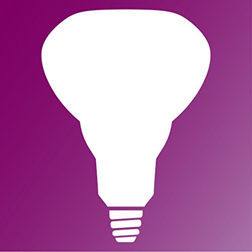 Phillips 416743 Heat Lamp 250-Watt BR40 Clear Flood Light Bulb