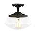 Light Society Vita Flush Mount Ceiling Light, Oil Rubbed Bronze with Clear Glass Shade, Vintage Industrial Modern Lighting Fixture (LS-C246-ORB)