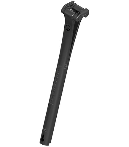 Amazon.com : ERGON CF Allroad Pro Carbon Seat Post, Setback, 27.2