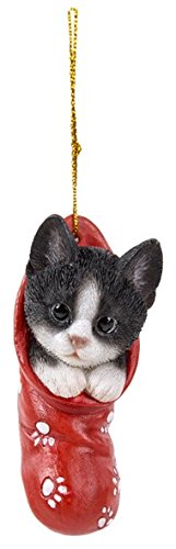 Vivid Arts- Hanging Christmas Stocking Pet Pals- Black & White Kitten