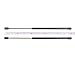 A-Premium Rear Window Lift Supports Shock Struts Replacement for Nissan Pathfinder 1999-2004 Infiniti QX4 1999-2003 From 12/1998 2-PC Set