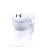 Under Armour UA ColdGear Infrared Balaclava OSFA White